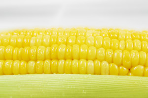 Corn