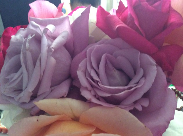 Make Your Own Pot Pourri