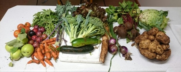 Real-Food Survival Skills For When Life Is Crazy
